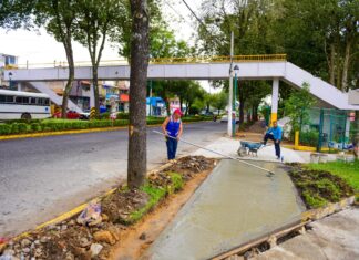 Iniciará demolición de puente peatonal en la avenida Xalapa