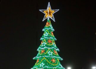 Llega la Navidad al parque Juárez