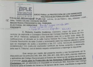 OPLE impone consejeros electorales a modo para favorecer a MORENA