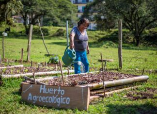 Promueve Ayuntamiento la responsabilidad ambiental