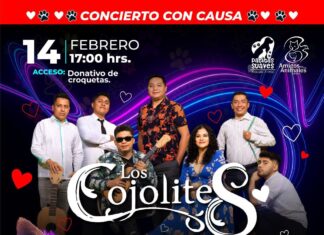 *Celebra el amor y la amistad con Los Cojolites y las Orquestas Municipal de Xalapa y Pauta Nueva