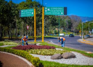 Realiza Medio Ambiente acciones de mantenimiento en áreas verdes