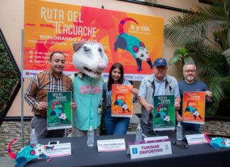 Explora Xalapa con la Ruta del Tlacuache