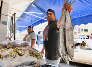 Supervisará Ayuntamiento condiciones de salubridad en pescaderías