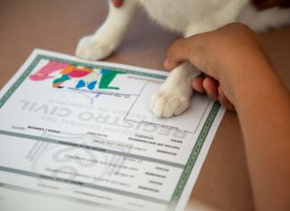 Realizan Registro de Nacimiento de Mascotas en Xalapa