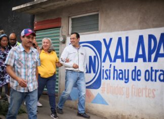 MORENA, REPROBADO EN EDUCACIÓN: AMÉRICO