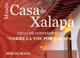 Del 23 al 26 de mayo, Xalapa bailará al ritmo del Tap