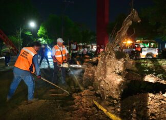 Atiende Protección Civil afectaciones por lluvias