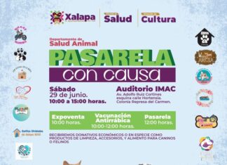 Invita Ayuntamiento a Pasarela de animales de compañía