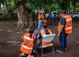 Aplicará Ayuntamiento tecnología alemana en la valoración del arbolado urbano