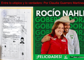 Rocío Nahle protege a Javier Herrera, violentador de los derechos de su menor hijo con discapacidad
