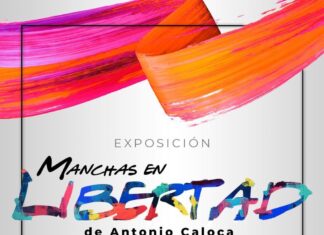 Xalapa, capital de la danza