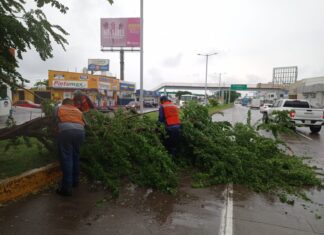 “En dos horas cayó más de 70 mm de agua y más del tripe que en el Huracán Stan en el 2005”: Ayuntamiento de Veracruz