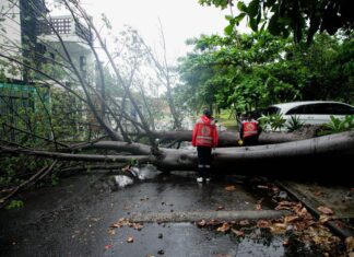 Onda Tropical 8 dejó afectaciones menores en Boca del Río: Alcalde JM Unánue