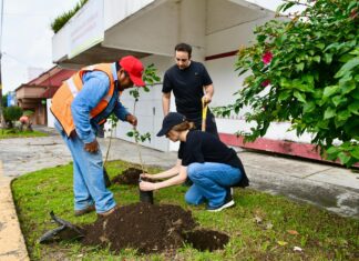 Realiza Ayuntamiento jornada de mantenimiento en áreas verdes