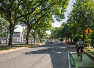 Continúa rehabilitación integral de la avenida Ruiz Cortines