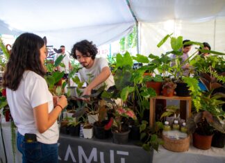 Con más de 40 expositores inauguran “Expo Flores de Verano”