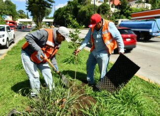 Continúa Ayuntamiento con acciones permanentes por el Medio Ambiente
