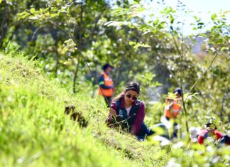 Realiza Dirección de Medio Ambiente Jornada de Reforestación