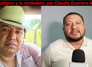 Socio del procurador de Medio Ambiente en Veracruz torturado y asesinado en Puebla