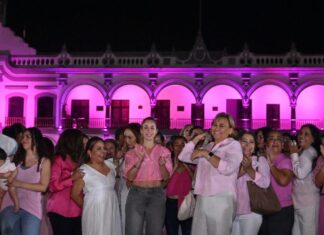 Paty Lobeira ilumina el Palacio Municipal en rosa