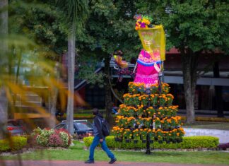 Ambiente festivo en las calles de Xalapa