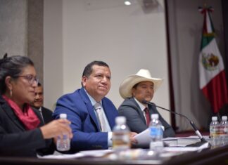 Veracruz bajó de categoría en ganado y está a un paso de perder el estatus ante el USDA