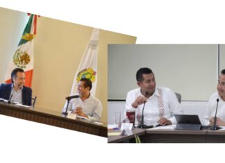Naturalia, obra ilegal y violenta las Leyes Ambientales Federales