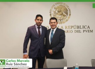 PVEM en Veracruz quebrado, sancionado por INE y su exdirigente Carlos Marcelo Ruiz Sánchez impuso empresas fantasmas