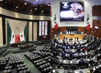 EN DEFENSA DEL PARLAMENTO MEXICANO/ FRANCISCO BERLÍN