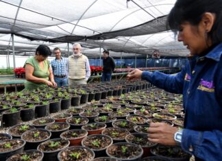 Xalapa continuará siendo la Ciudad de las Flores: Alberto Islas