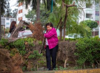Llega “Mi calle limpia” a Jardines de Xalapa
