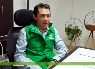 Y sigue la mata dando en el PVEM, la culpa del pillo Marcelo Ruiz