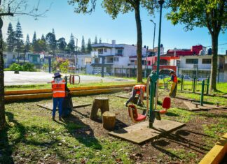 Realiza Ayuntamiento primera Jornada Comunitaria 2025 para el mantenimiento de áreas verdes