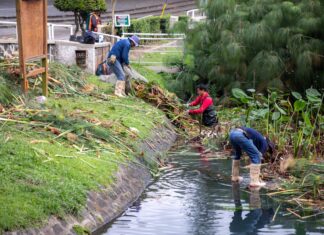 Realizan acciones de limpieza en los Lagos