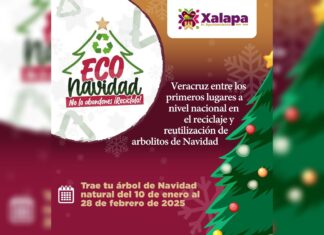 Invita Ayuntamiento a campaña de reciclaje de pinos navideños