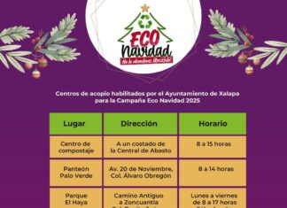 Impulsa Ayuntamiento reciclaje de pinos navideños