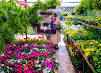 Con “Flores con Amor” celebra Ayuntamiento el 14 de febrero
