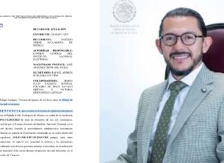 El PVEM en Veracruz y su impunidad de siempre
