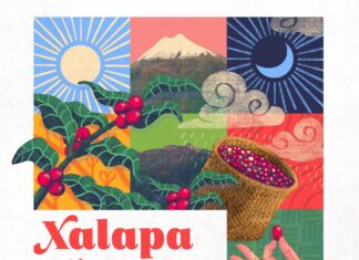 Ayuntamiento se prepara para el festival “Xalapa, Café y Aroma 2025”
