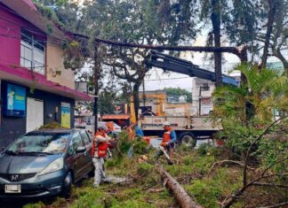 Atiende PC Municipal afectaciones por lluvias