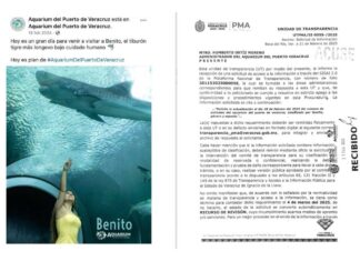 Por pésimo manejo de especies marinas, fallece “Benito”, el hermoso ejemplar de tiburón tigre en el “Aquarium de Veracruz”