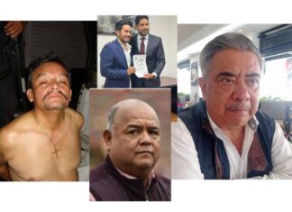 PVEM se está convirtiendo en un lastre para Morena en Veracruz