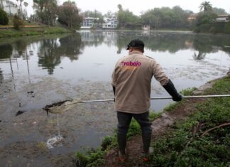Continúan trabajos de limpieza en los lagos de Las Ánimas