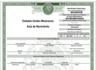 Esposa de consejero del INE en Poza Rica es impuesta como síndica de Morena-PVEM en planilla de Janeth Adanely Rodríguez