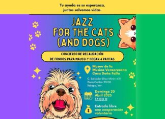 Invita Ayuntamiento a disfrutar de una semana llena de cultura