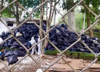 Realizan acciones preventivas de limpieza en el CECAN