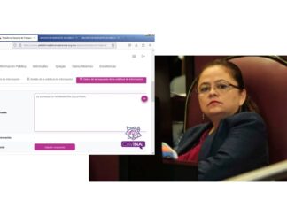 Usuario solicita información al IPE; la Unidad de Transparencia y el Órgano Interno de Control entregan documentos en blanco