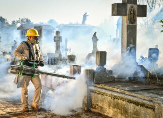 Trabajan Ayuntamiento y Jurisdicción Sanitaria contra el dengue