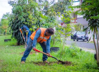 Celebrará Xalapa Día del Medio Ambiente con jornada de reforestación